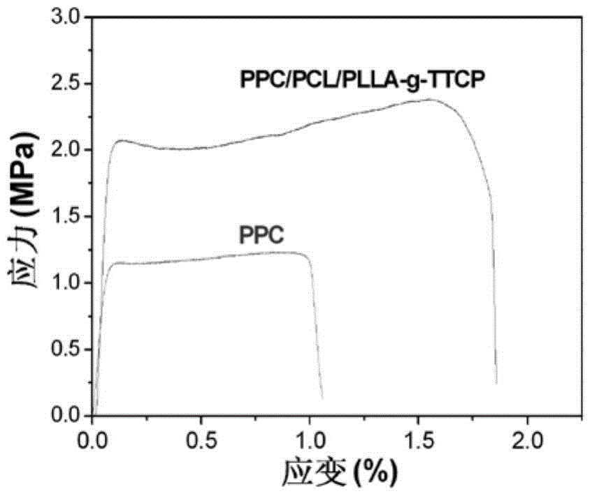 Nanoporous network fibers prepared by high-voltage electrospinning and their applications