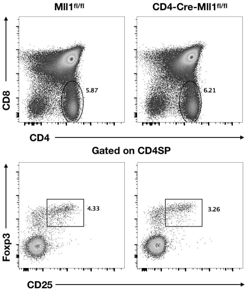 Method for regulating and controlling activation of Treg cells