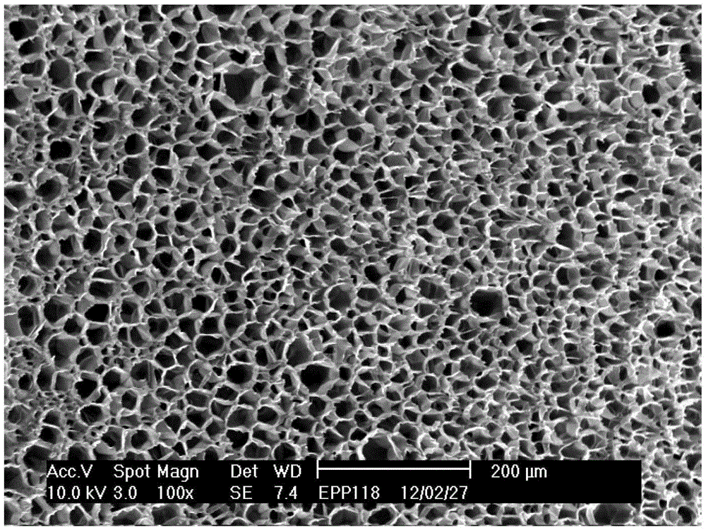 Propylene ethylene high melt strength polypropylene foam beads and preparation method thereof