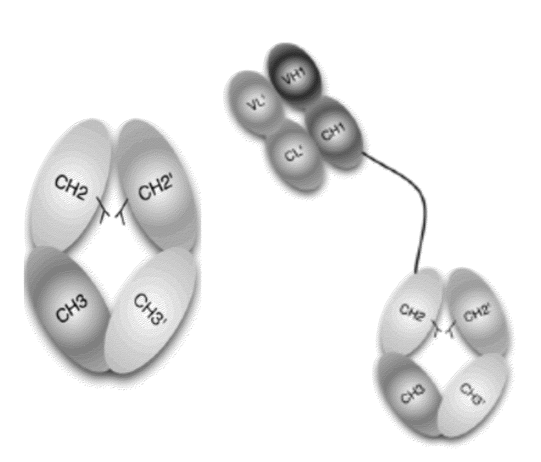 Stable Heterodimeric Antibody Design with Mutations in the Fc Domain