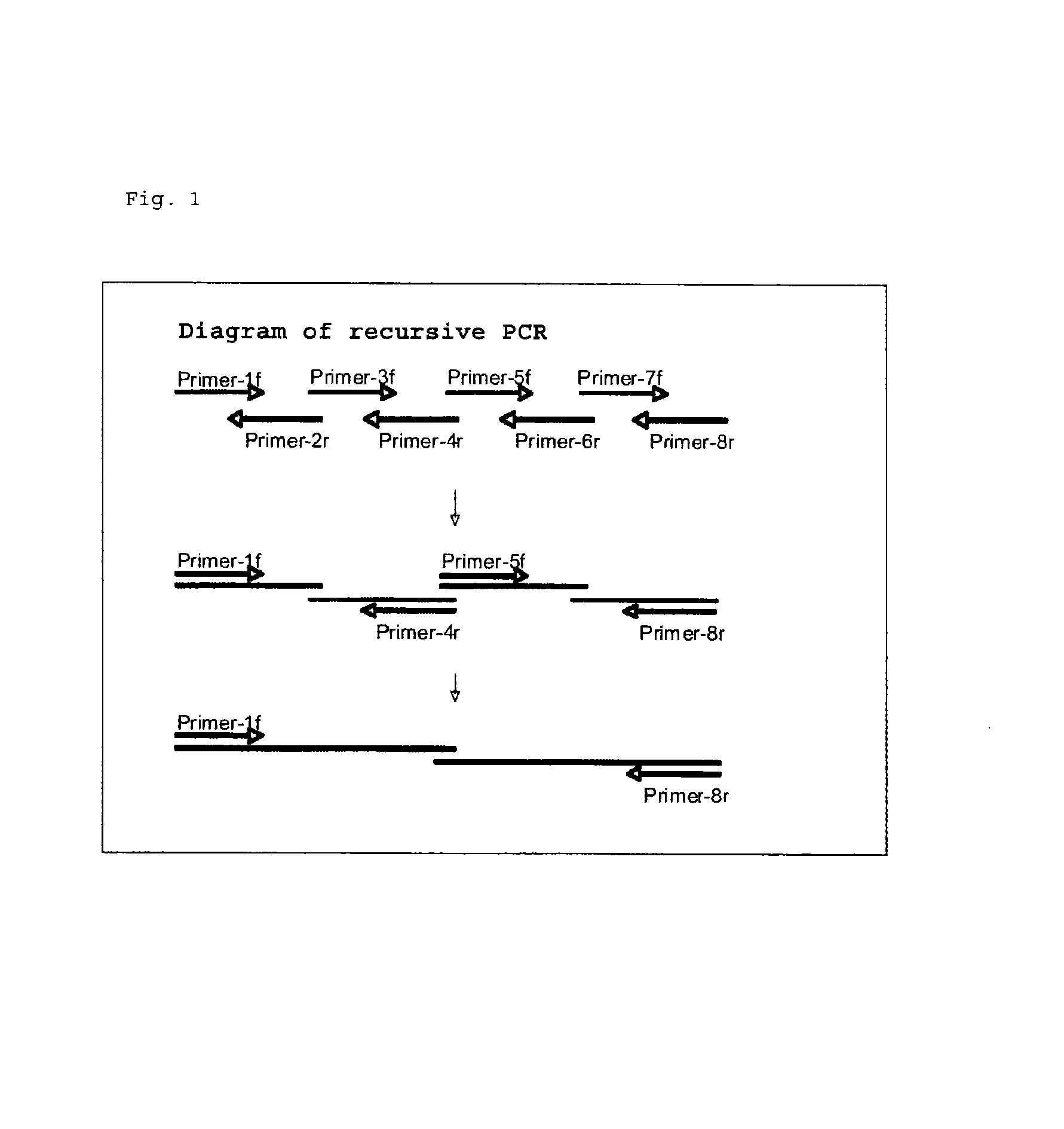 Reagent for assaying anti-treponema pallidum antibody