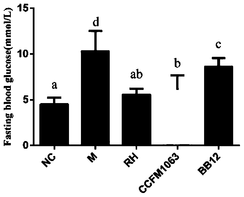 Bifidobacterium bifidum CCFM1063 and application thereof