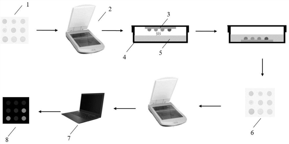 Visual green tea quality sensing and distinguishing method based on olfaction and taste interaction