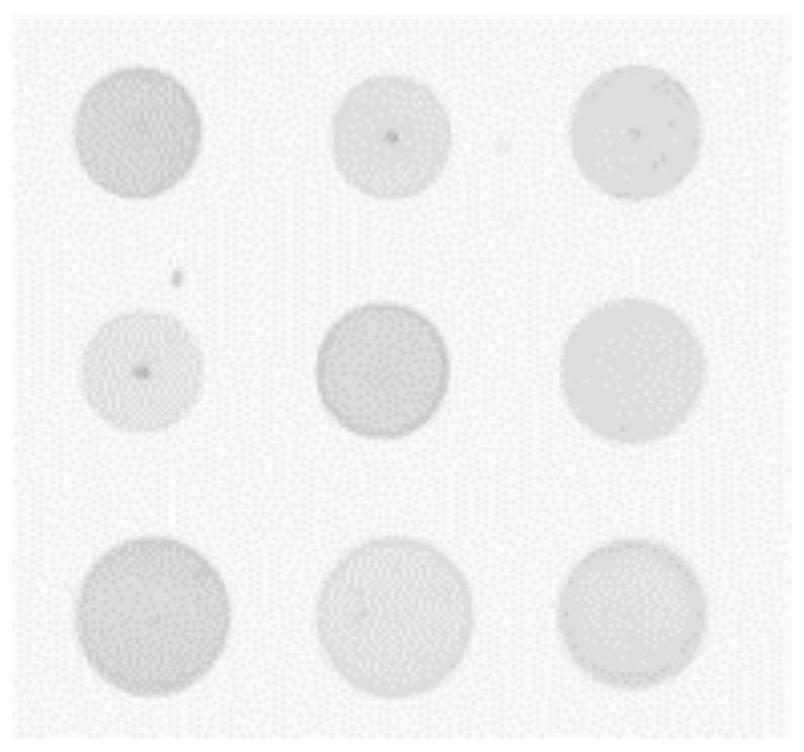 Visual green tea quality sensing and distinguishing method based on olfaction and taste interaction