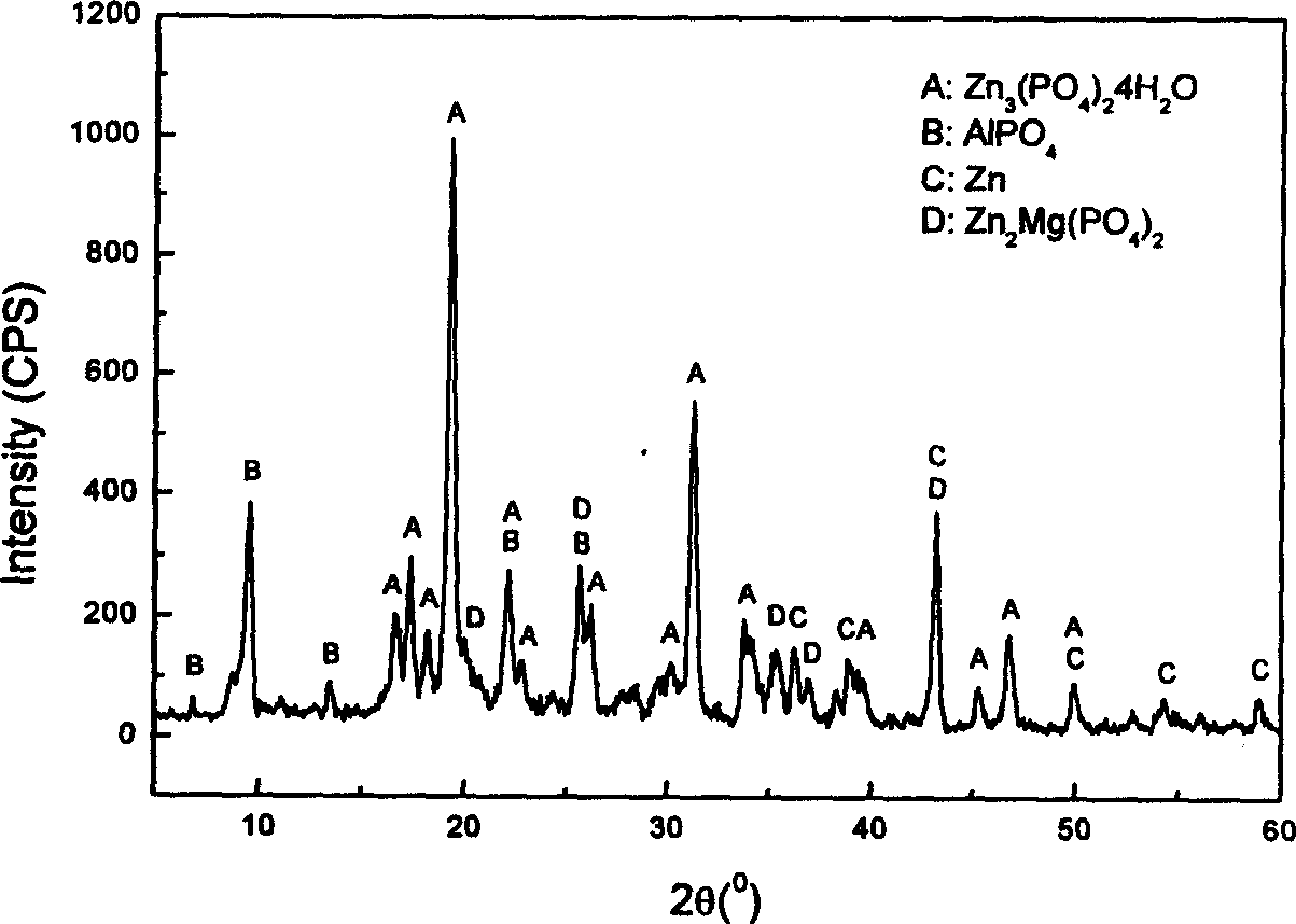 Magnesium alloy phosphorization solution and its phosphorized technology