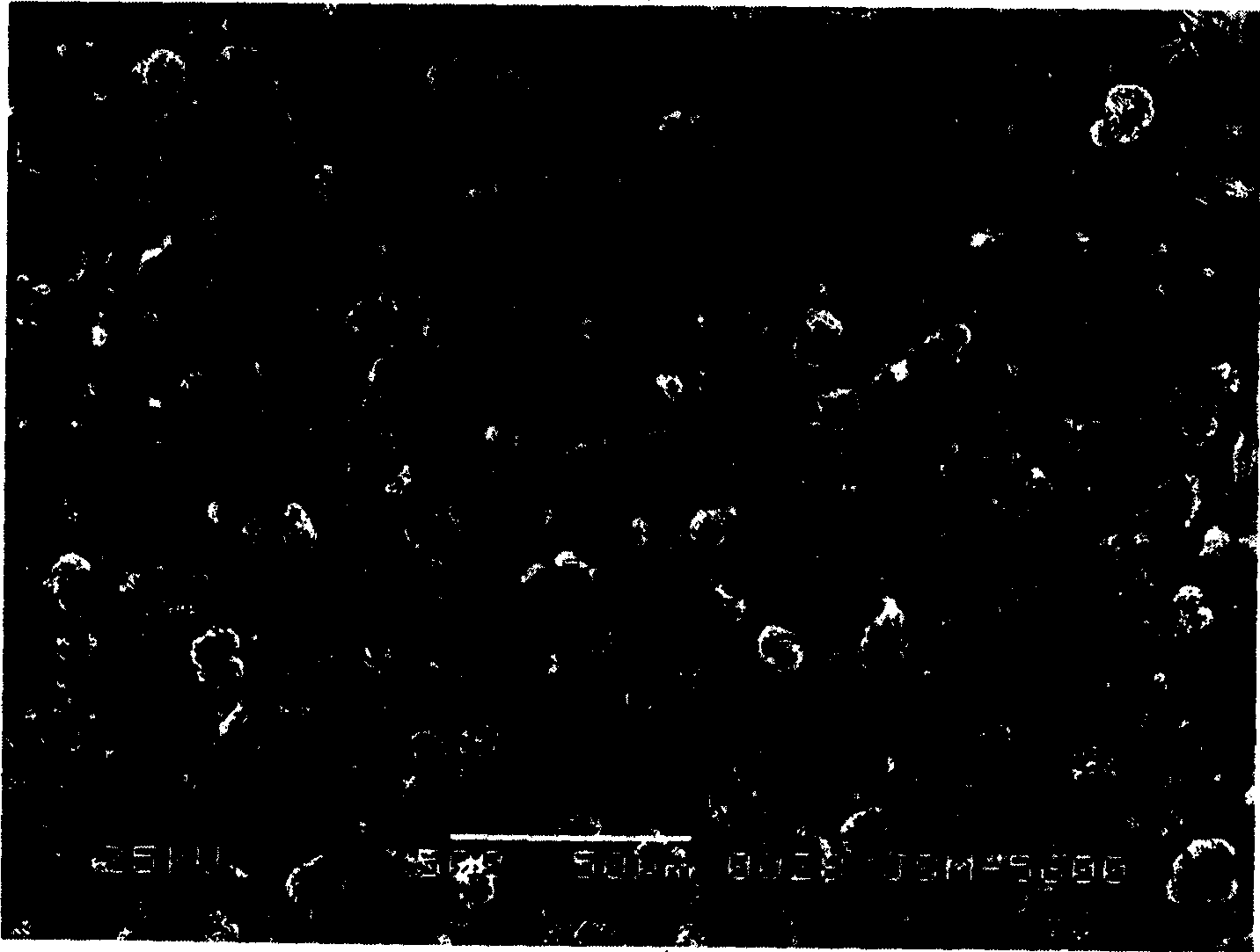 Magnesium alloy phosphorization solution and its phosphorized technology