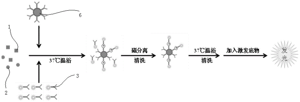 Kit for detecting Treponema pallidum antibody, detection method and application thereof