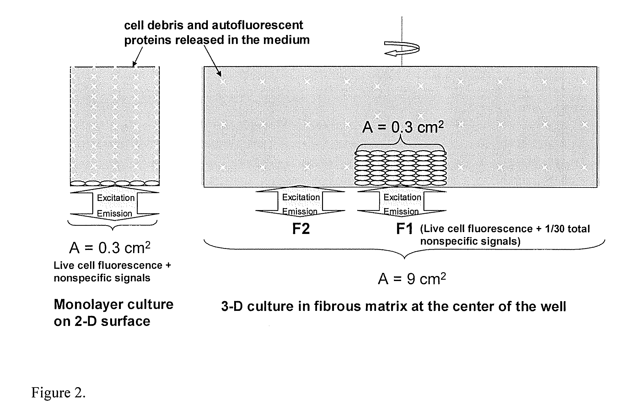 Materials and methods for cell-based assays