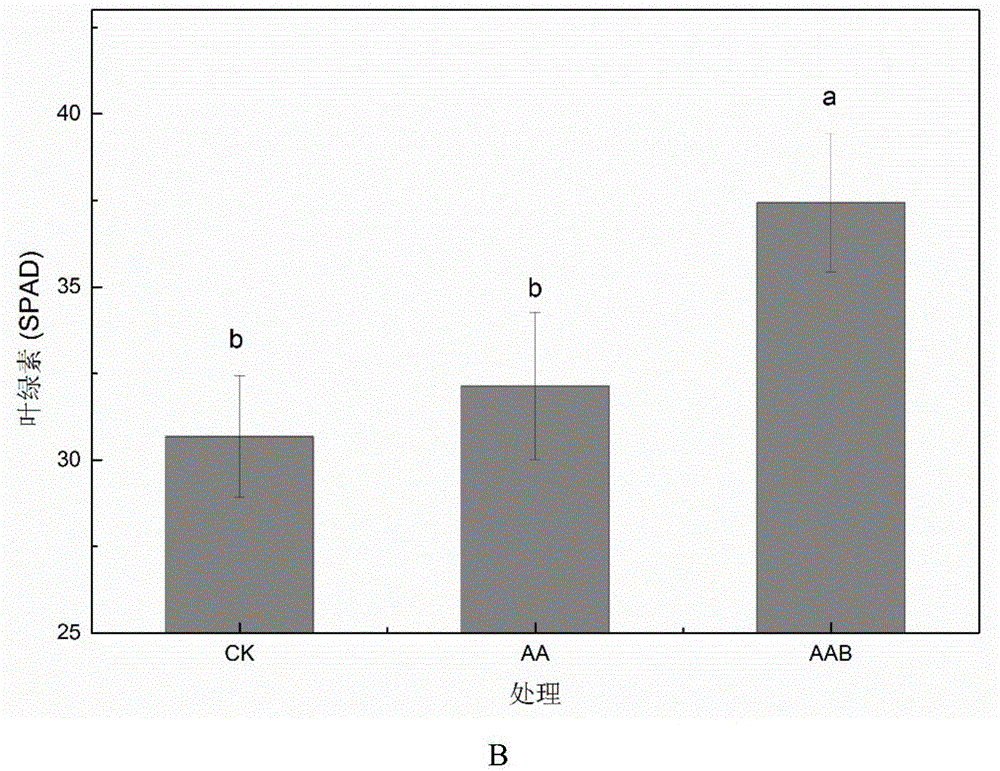 Biological surfactant produced by Enterobacter hormaechei and applications thereof