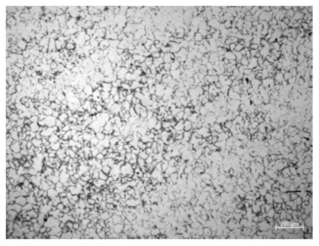 Steel austenite grain size etchant and preparation method and application thereof