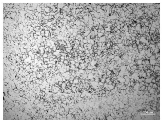 Steel austenite grain size etchant and preparation method and application thereof