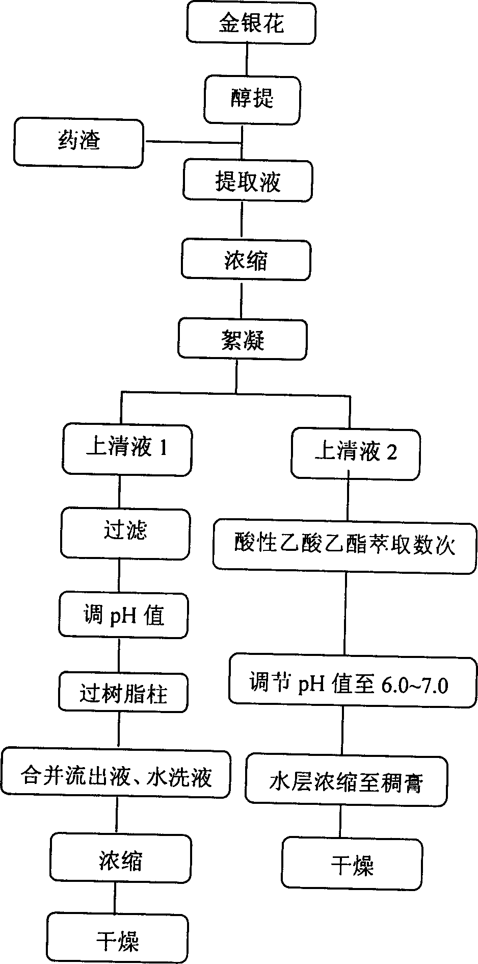 Extracting and purifying method for chlorogenic acid in honeysuckle