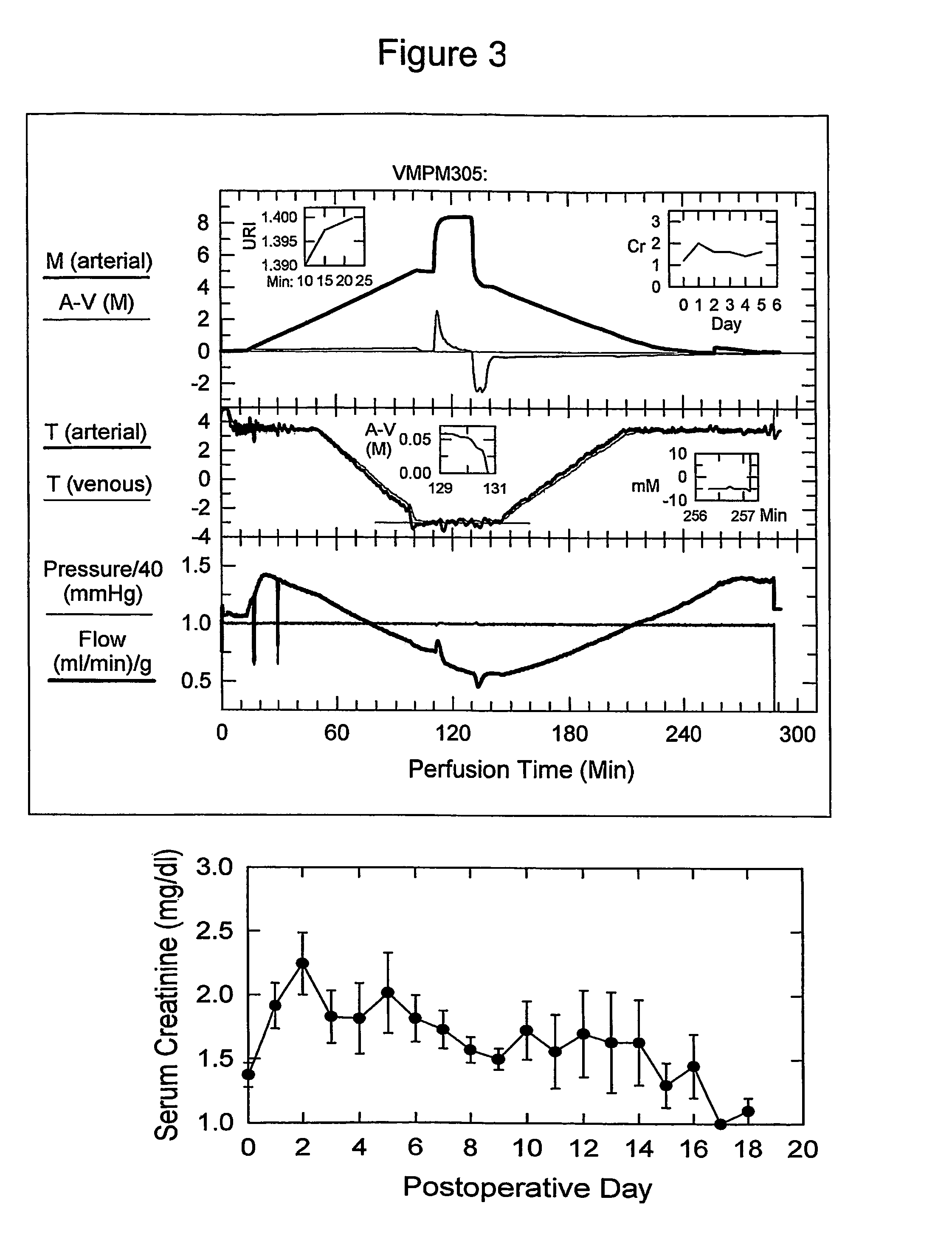 Methods and compositions for the cryopreservation of organs