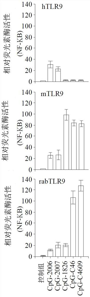 Cpg-oligodeoxynucleotide, immunogenic composition comprising the same, and methods for preparing the composition and stimulating immune response thereby