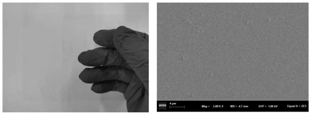 Method for preparing biodegradable transparent film by using waste wood biomass