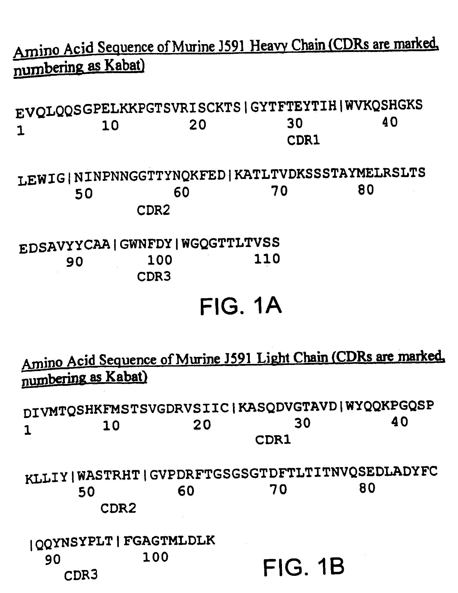 Methods for treating prostate cancer using modified antibodies to prostate-specific membrane antigen