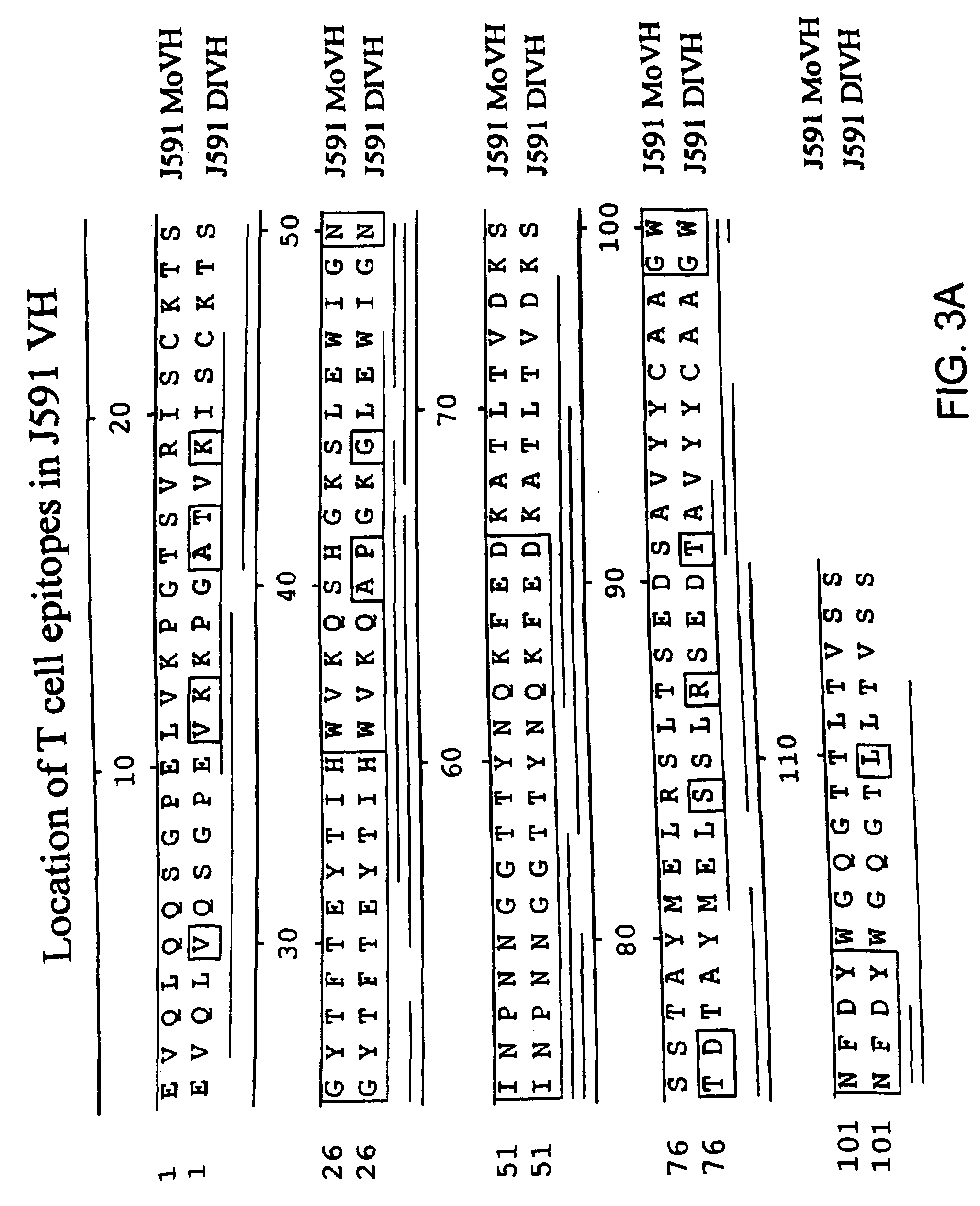 Methods for treating prostate cancer using modified antibodies to prostate-specific membrane antigen