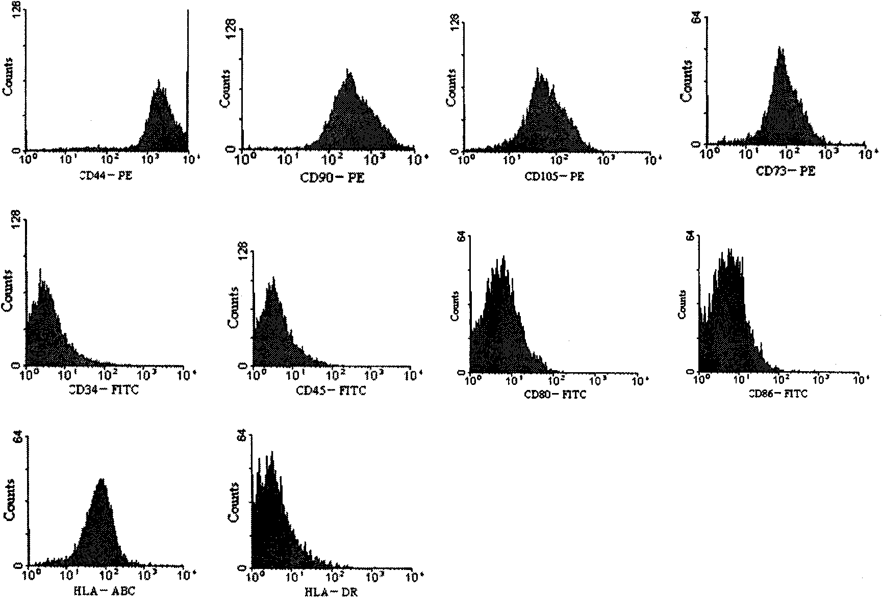 Preparation method of umbilical cord Huatong glue mesenchymal stem cells and product thereof