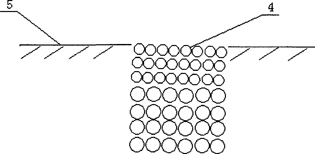 Method for repairing beach wetland by papermaking wastewater irrigation