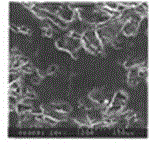 A kind of preparation technology of oxidized cationic sizing starch