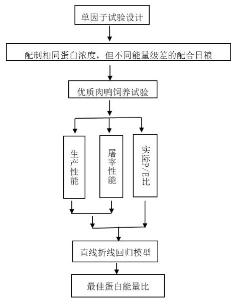 Method for estimating optimal energy protein ratio and feed