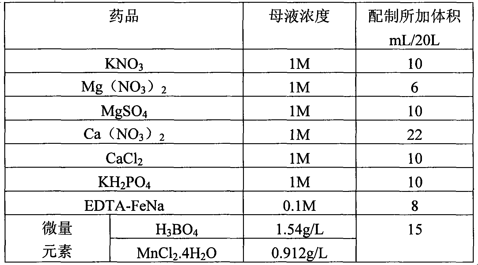 Process for abstracting root protoplast of rosaceous plants