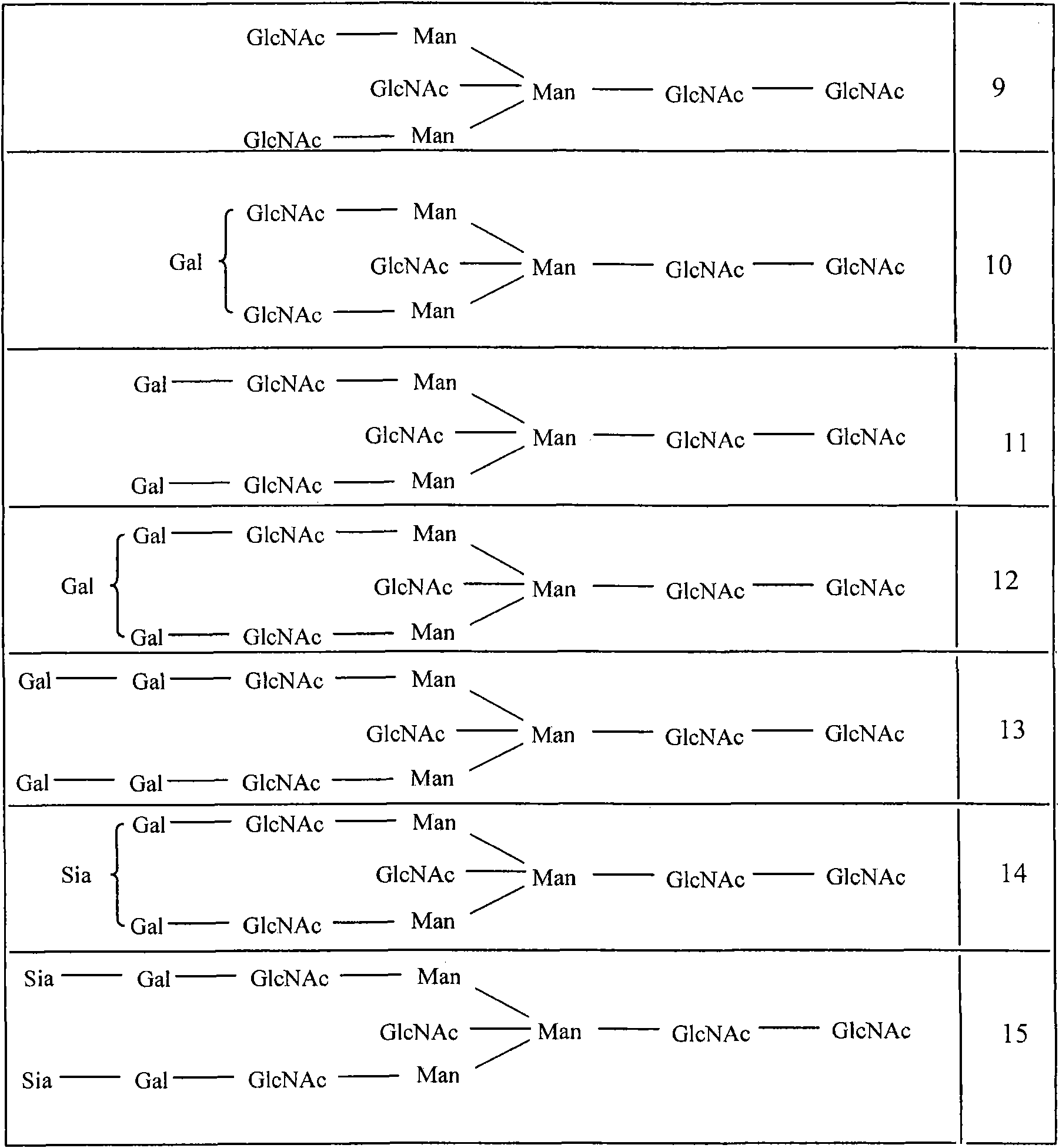 Host cell lines for production of antibody constant region with enhanced effector function