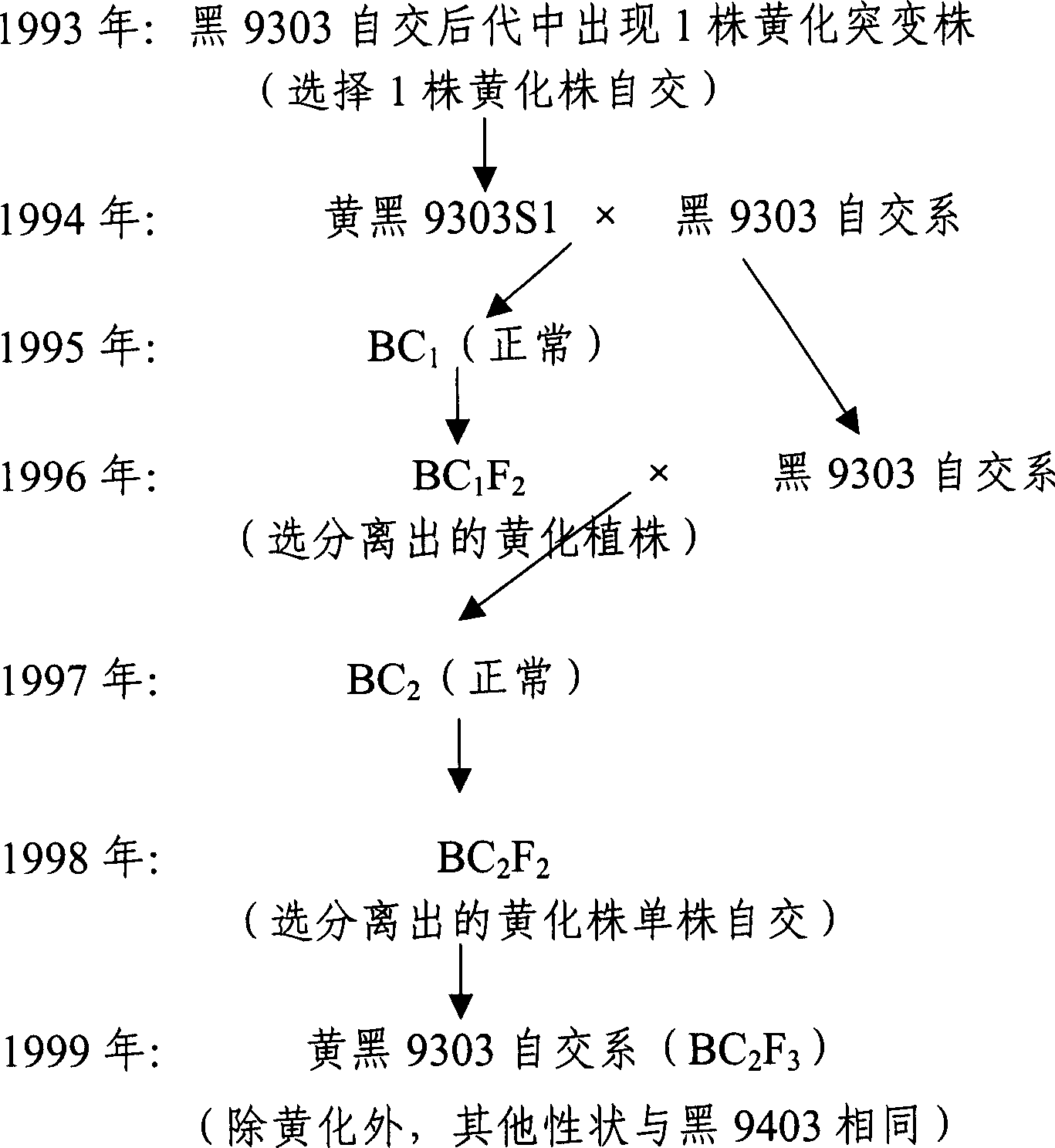 Method for producing carrot hybrid seed and appraising purity