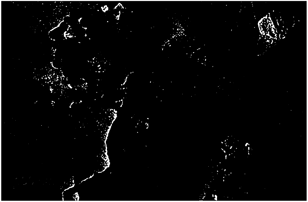 Preparation method of polyvinylidene fluoride composite material with high dielectric constant and low dielectric loss