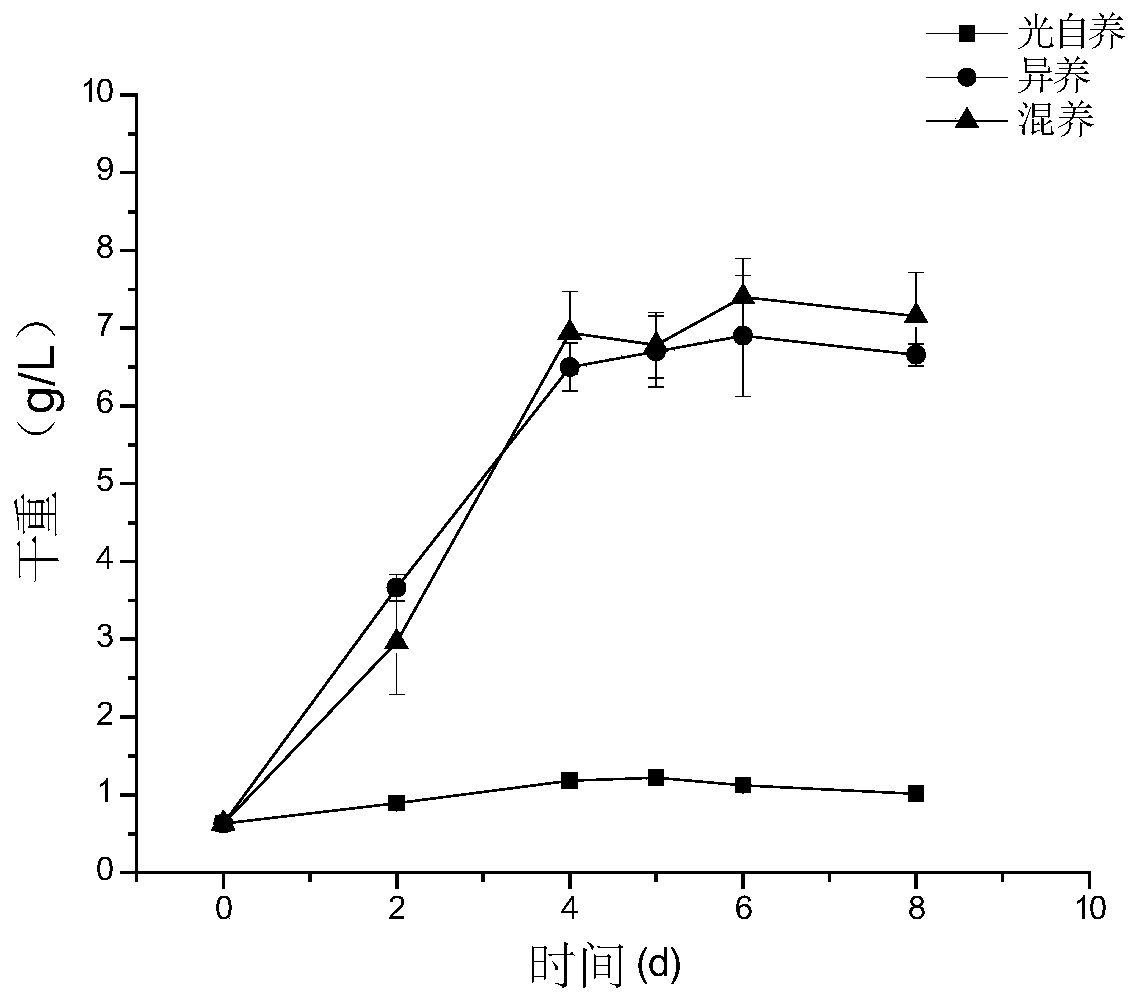 A kind of high-yield phycocyanin red algae cultivation method