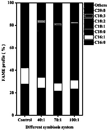 Method for promoting chlorella growth and oil accumulation by carrying out co-culture of alga and bacterium