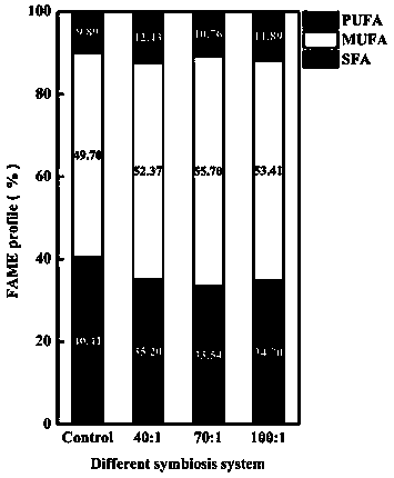 Method for promoting chlorella growth and oil accumulation by carrying out co-culture of alga and bacterium