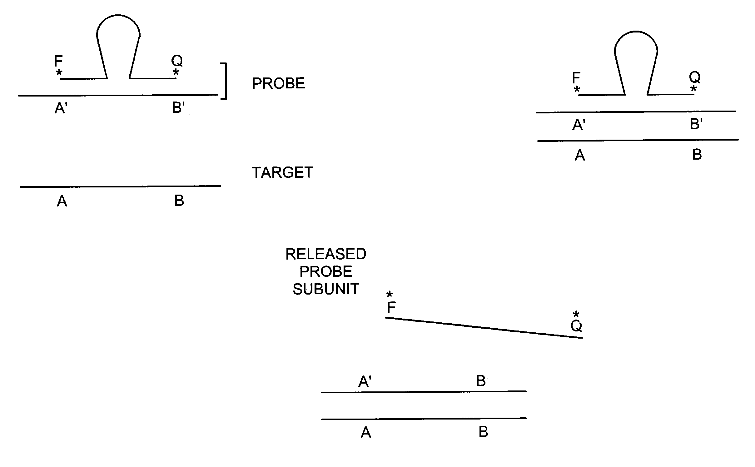 Methods for detection of a target nucleic acid using multi-subunit probes