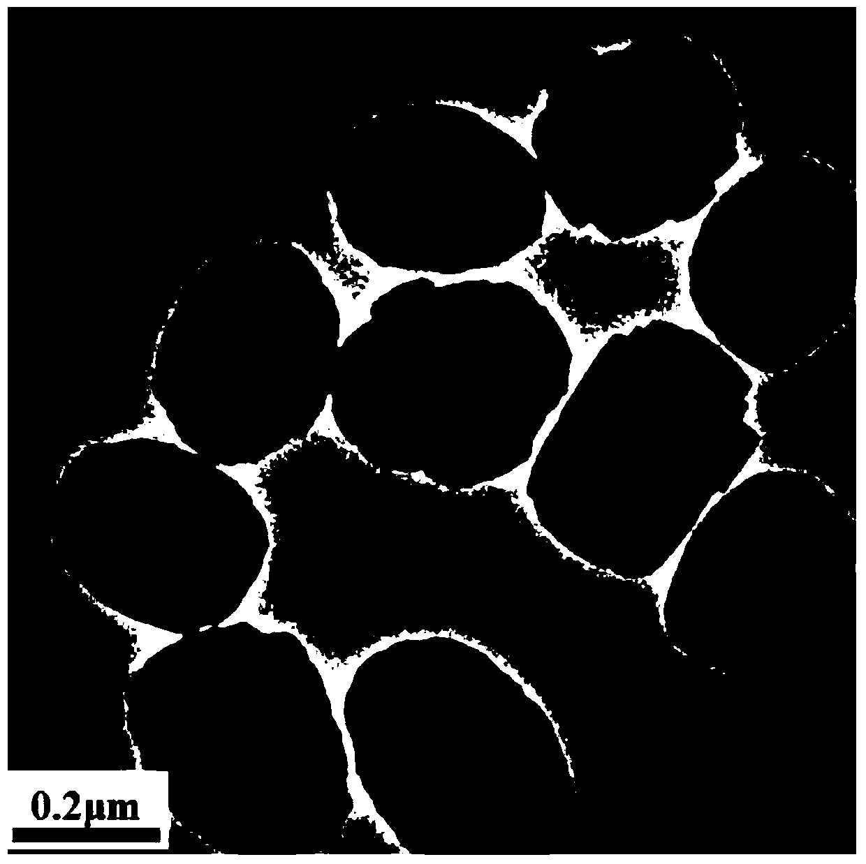 A kind of titanium silicon molecular sieve and its synthetic method and application and a kind of method of cyclic ketone oxidation