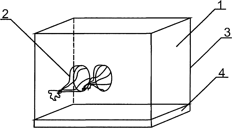 Artificial feeding method for house fly larvae