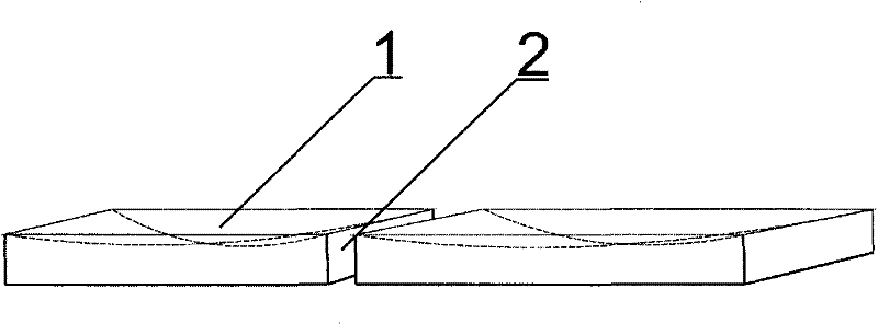 Artificial feeding method for house fly larvae