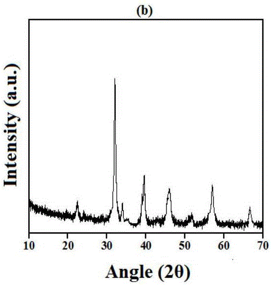 Compound barium titanate photocatalyst and preparation method and application thereof