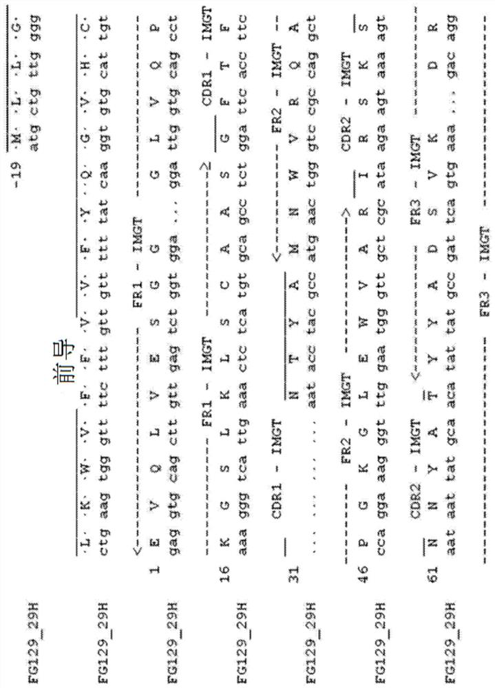 Sialylated di-Lewis alpha expressed on glycoproteins instead of glycolipids and antibodies thereof as functional cancer targets