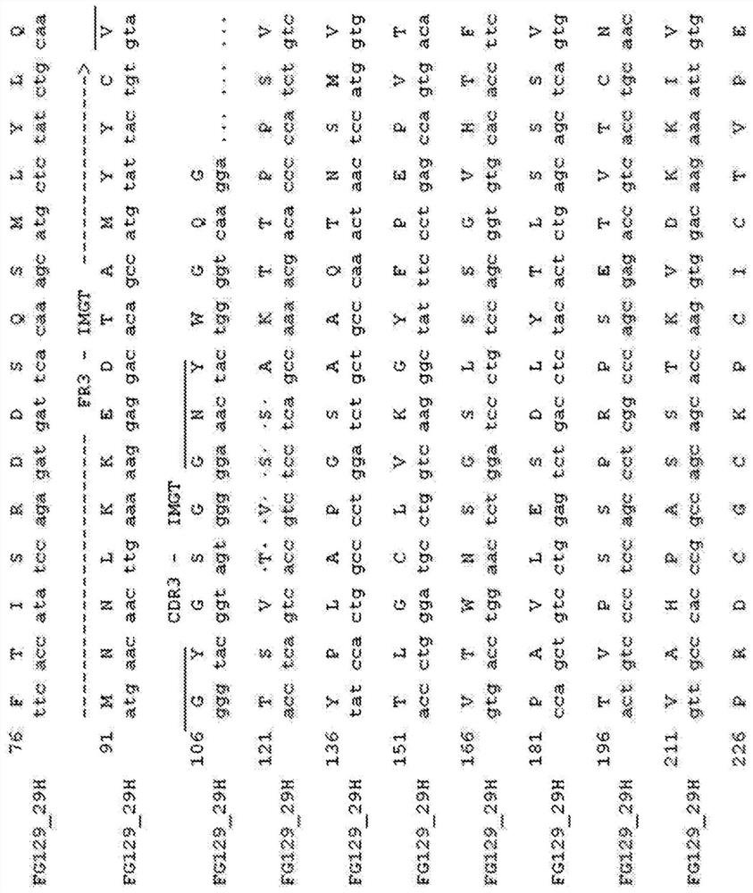 Sialylated di-Lewis alpha expressed on glycoproteins instead of glycolipids and antibodies thereof as functional cancer targets