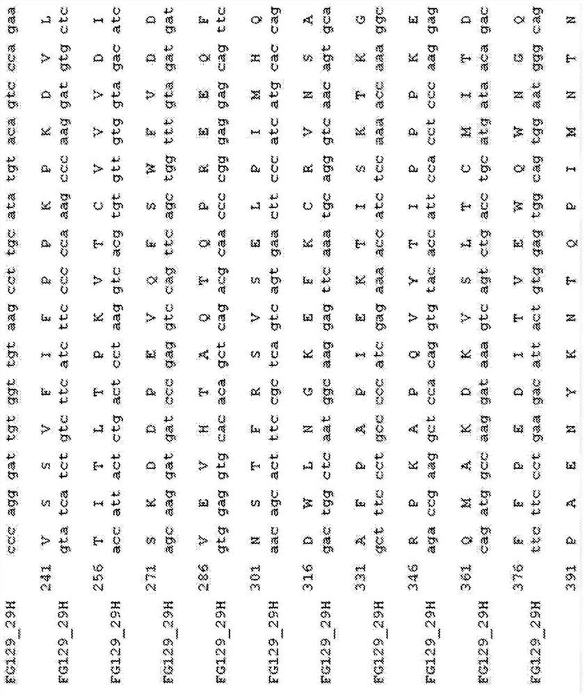 Sialylated di-Lewis alpha expressed on glycoproteins instead of glycolipids and antibodies thereof as functional cancer targets