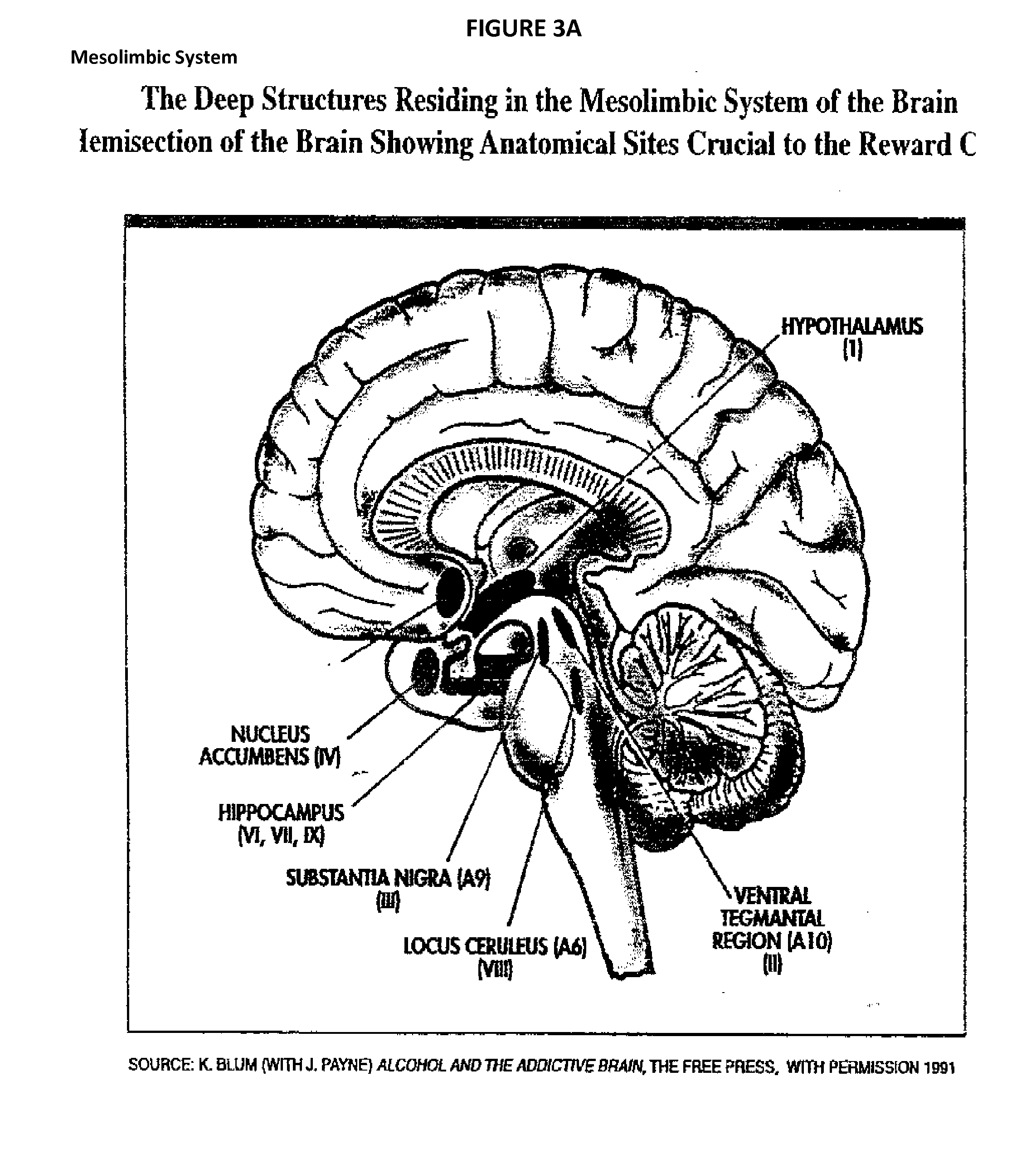 Nutrigenomics methods and compositions