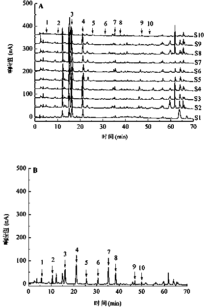 Identification method for rape honey doped in acacia honey