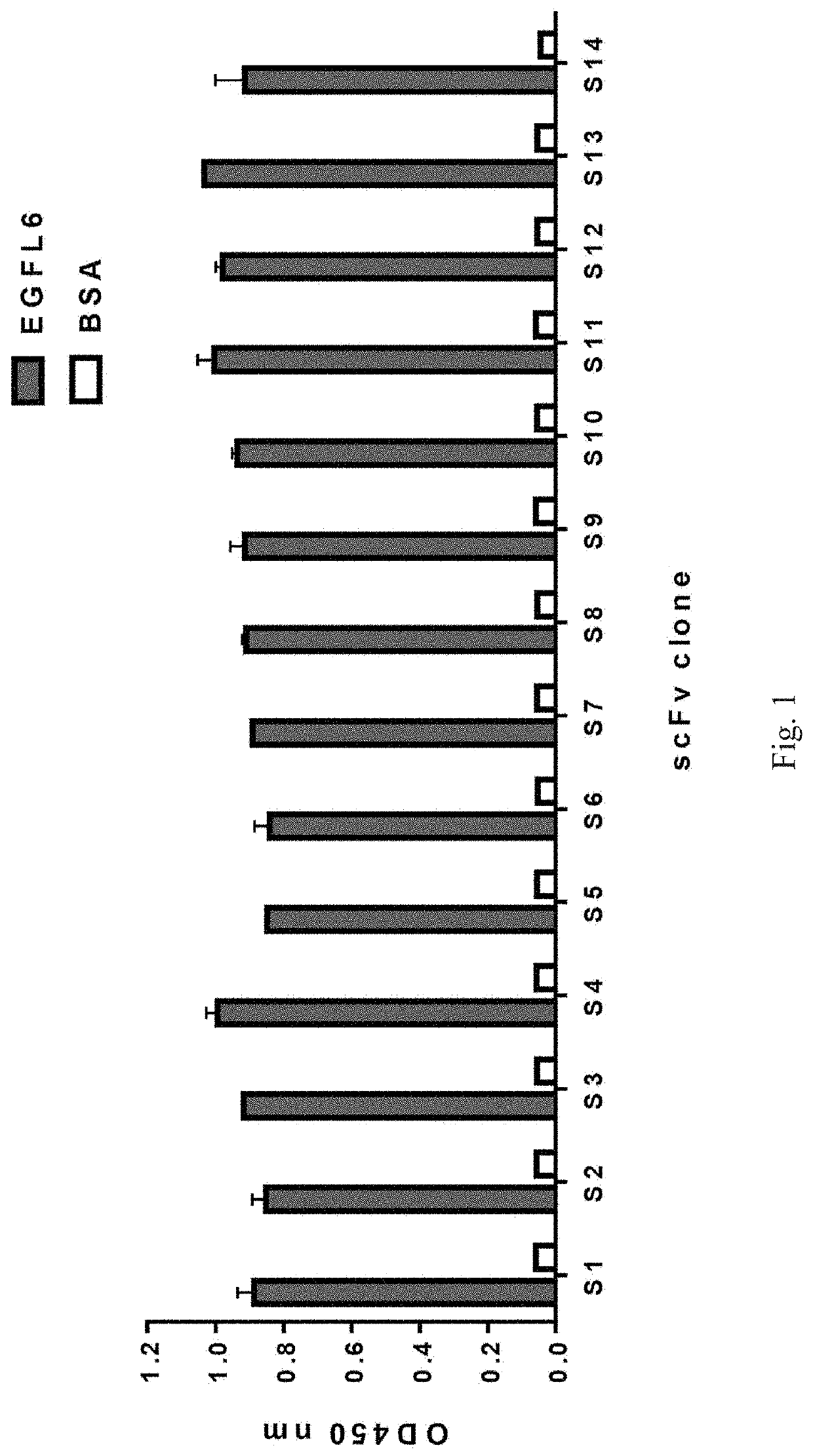 Anti-egf like domain multiple 6 (EGFL6) antibodies and their applications in cancer diagnosis and treatment