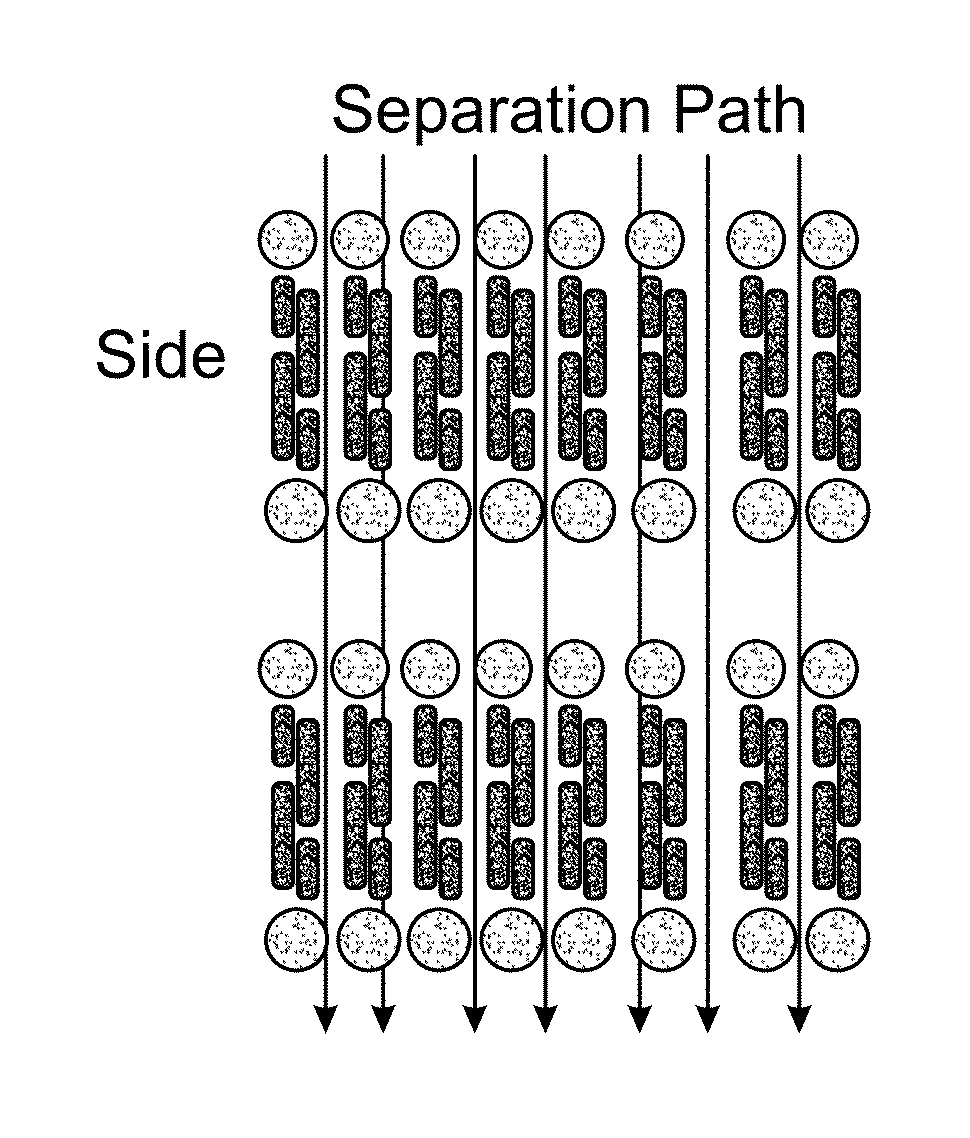 Self-Assembled Surfactant Structures