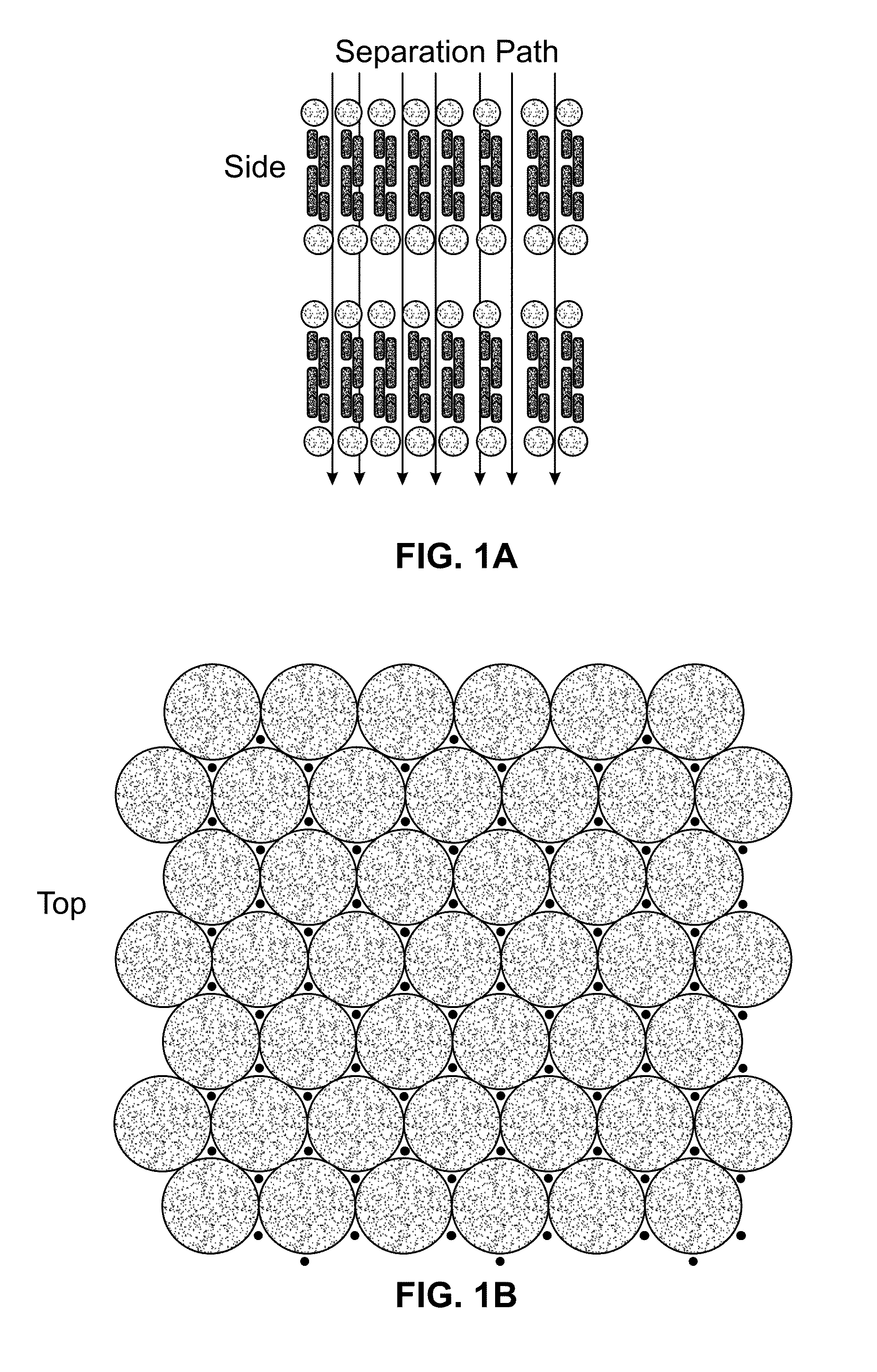 Self-Assembled Surfactant Structures