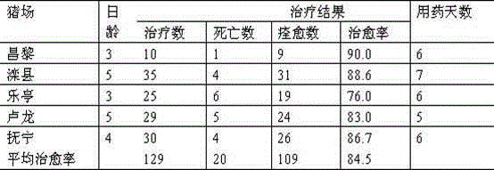 Chinese herbal medicine oral liquid for treating yellow scours of piglets