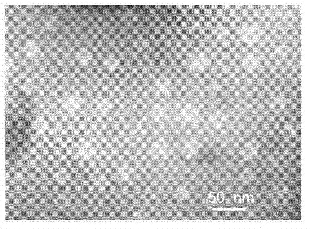 Polysaccharide/PEI nanogel with reduction responsiveness, preparation, and preparation method of polysaccharide/PEI nanogel