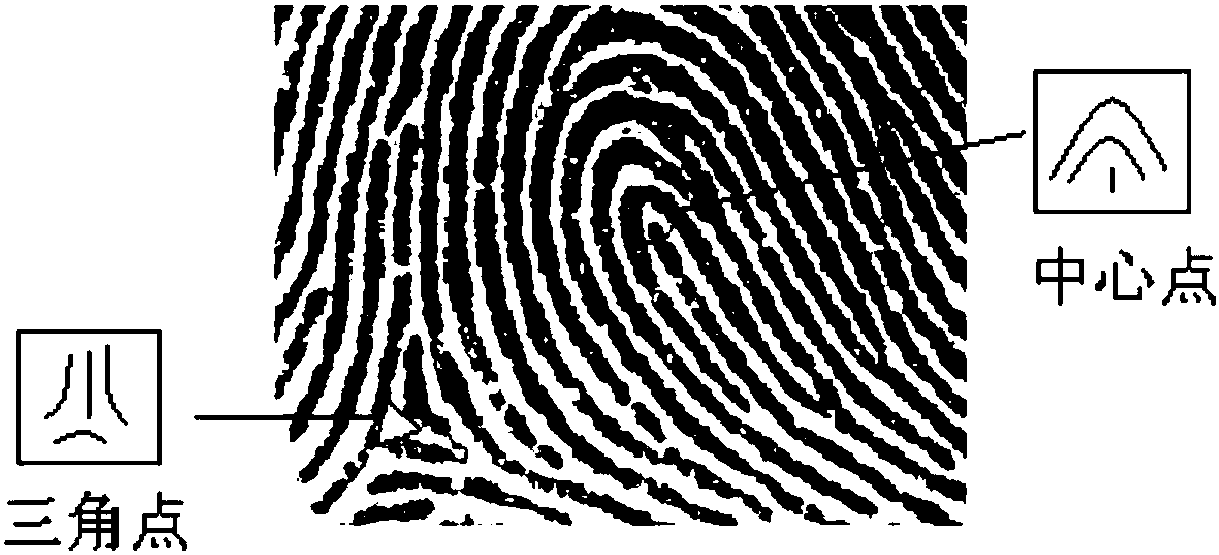 Fingerprint of Thing encoding method and system