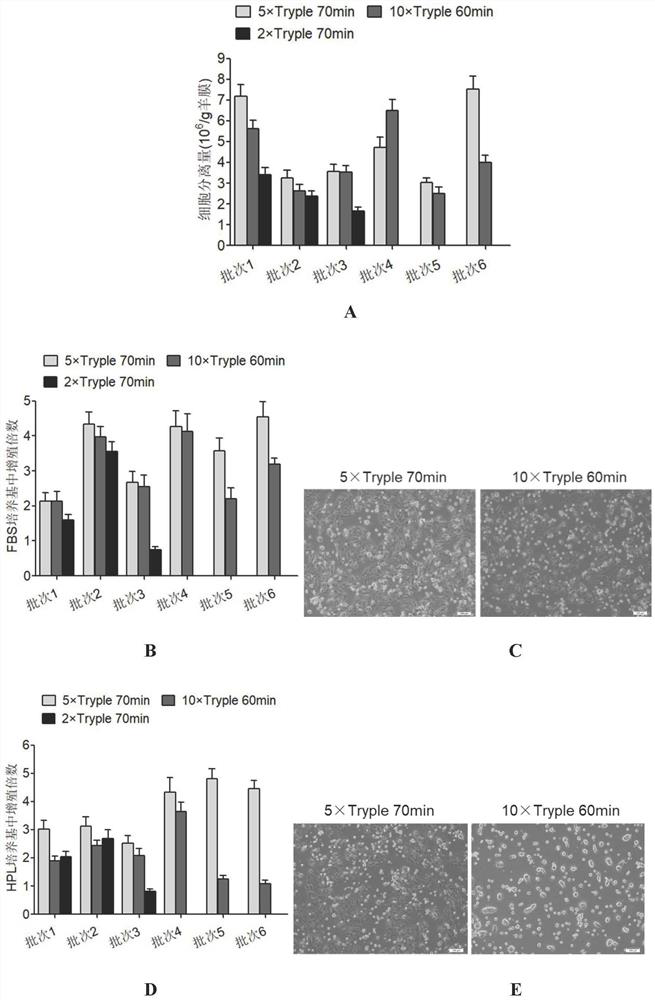 Separation and preparation methods of human amniotic epithelial stem cells