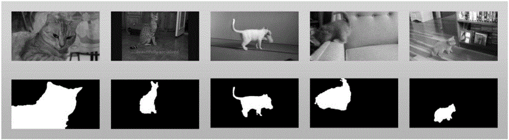 Video object segmentation method based on self-paced weak supervised learning